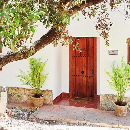 Holiday home Beautiful In With Kitchenette Estepa